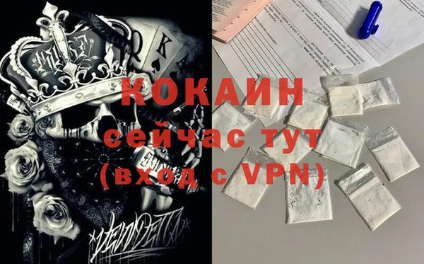 прущие грибы Михайловск