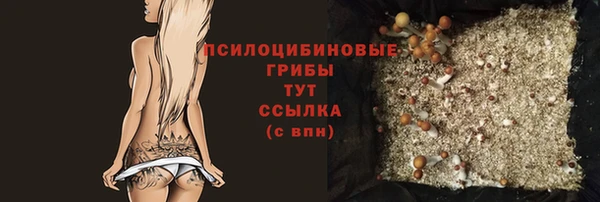 сатива Алзамай